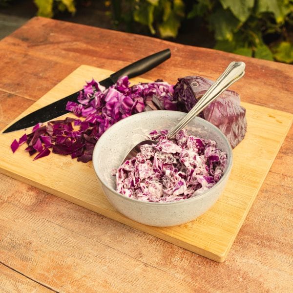 Cabbage Redbowl Flower Plants