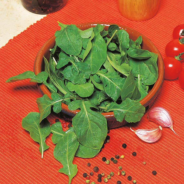 Bowl of green leafy vegetables on a red surface with garlic and tomatoes.