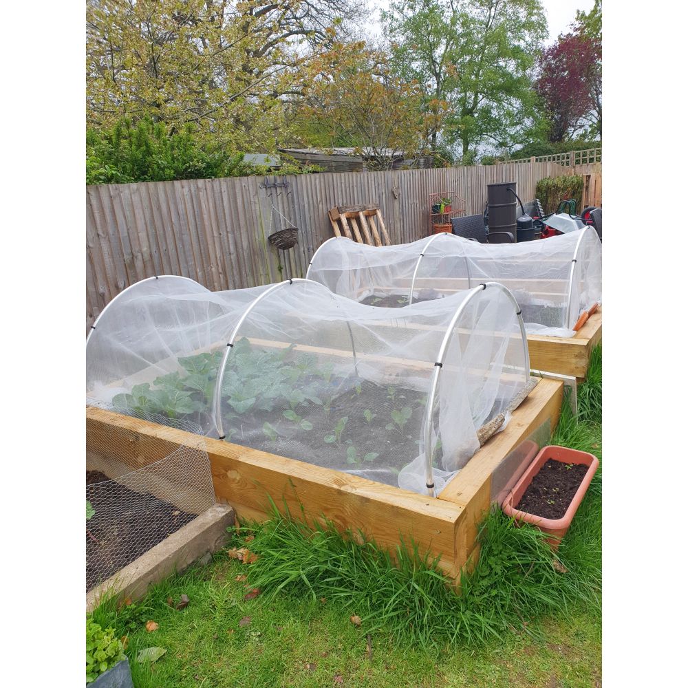 Garden bed with protective netting in a backyard setting