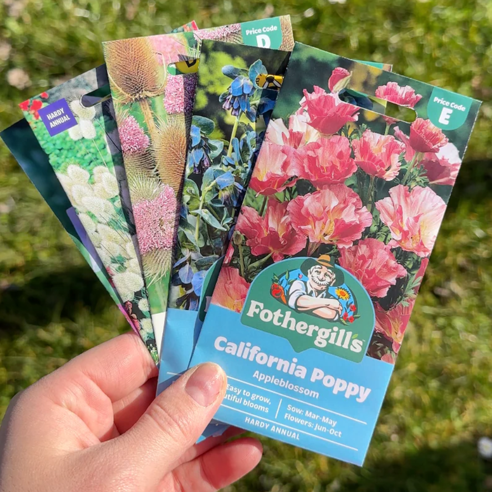 The Seeds of Hope Bundle