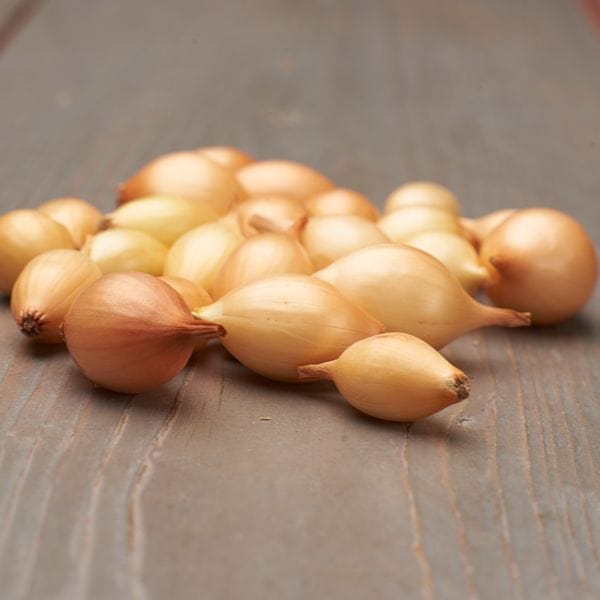 Spring Planting Onion Set Collection