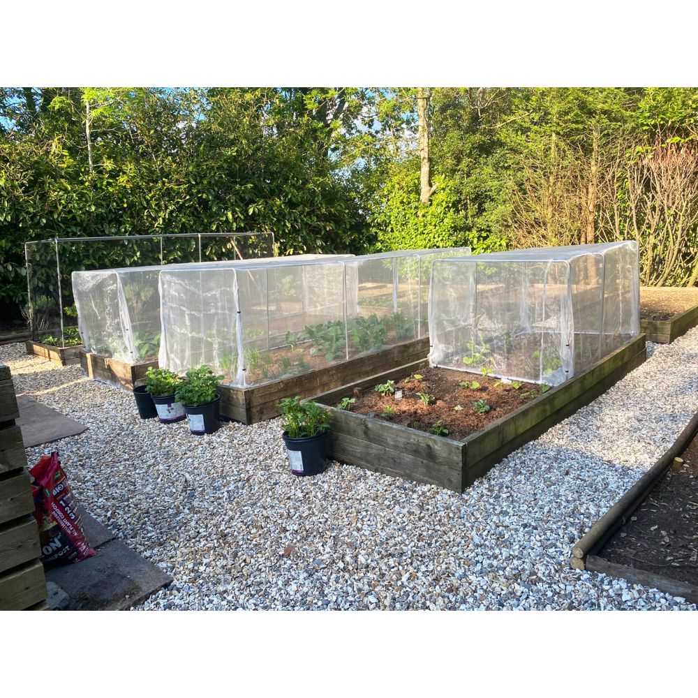 Vegetable garden with raised beds and protective netting in a gravelly area.