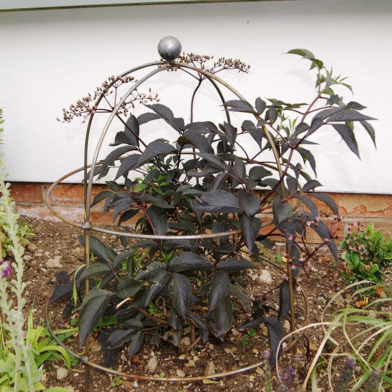 Steel Bell Plant Supports 68 x 51cm - Rust