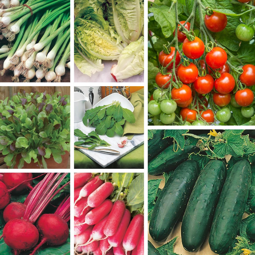 Summer Salad Collection
