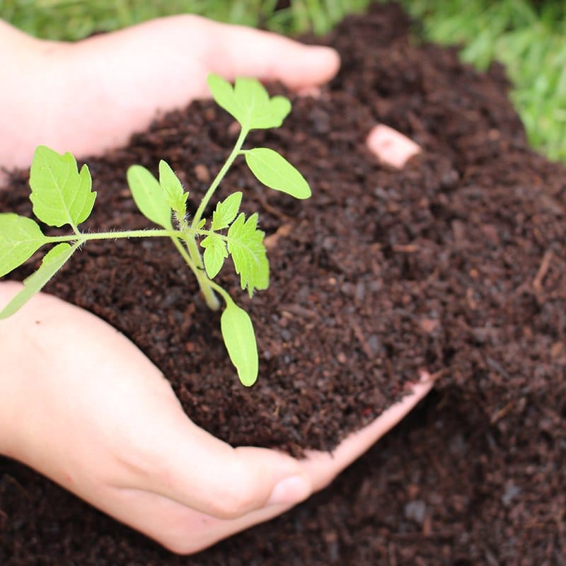 SylvaGrow Peat Free Multipurpose Compost