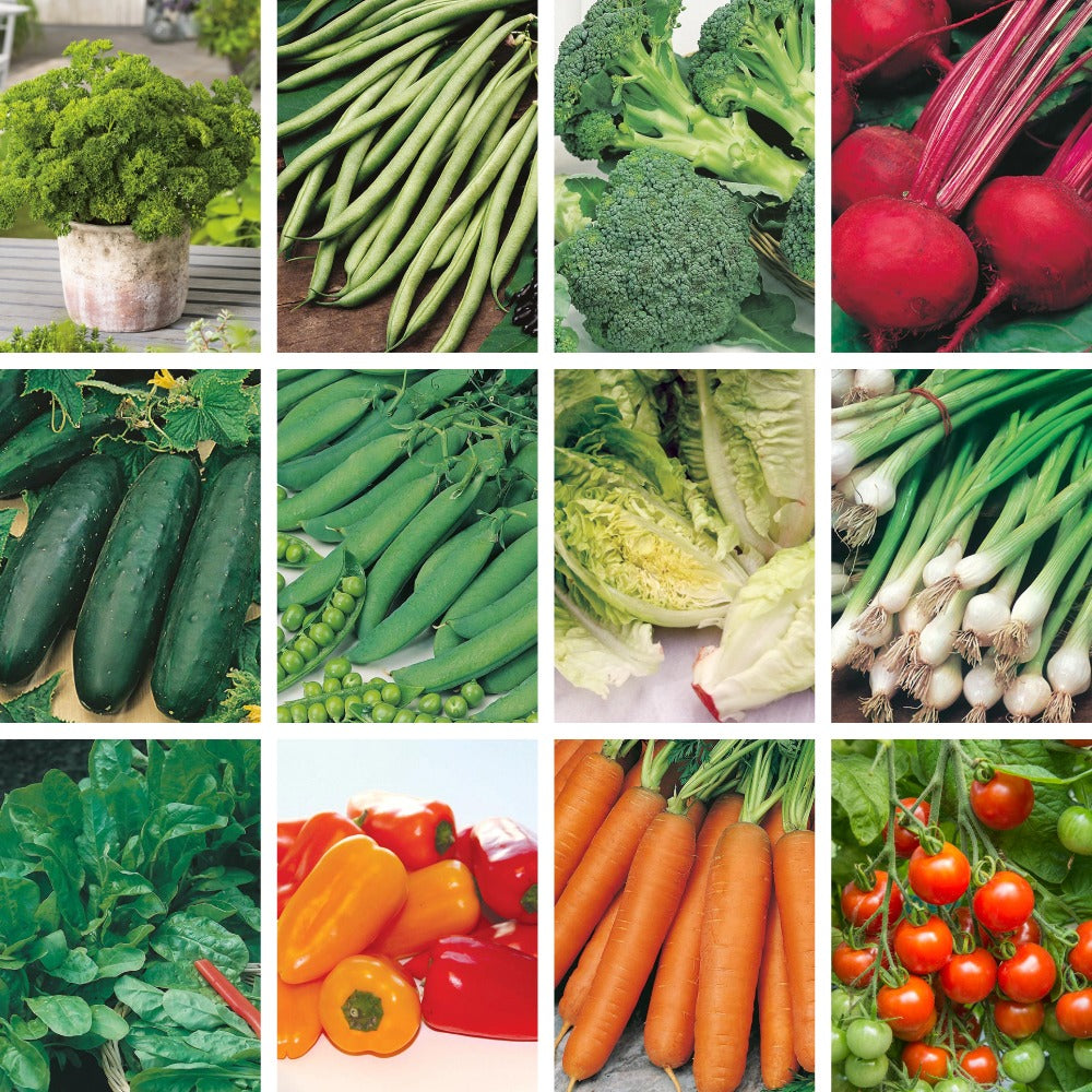 The Ultimate Veg Plot Pack