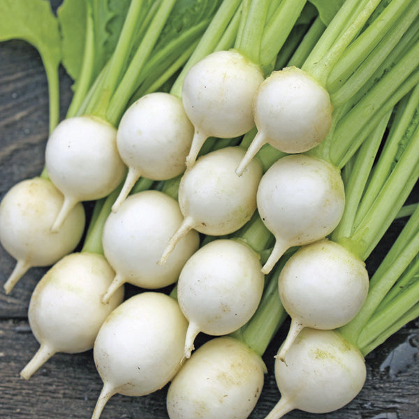 Bunch of white turnips with green stems on a dark surface