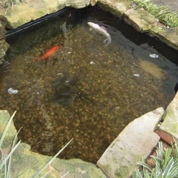 Viresco Aqua Pond Clear Including Free Nitrate Test Strips