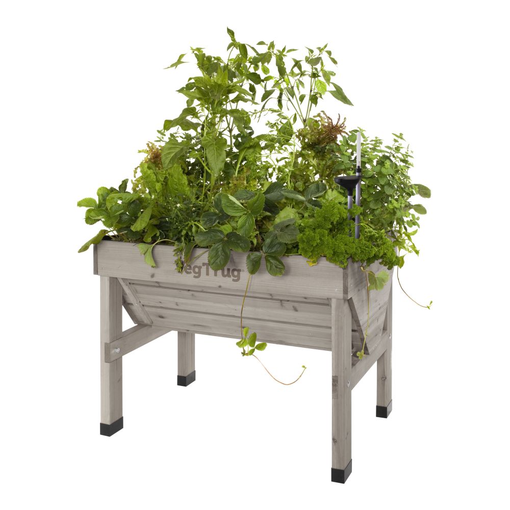 VegTrug Classic