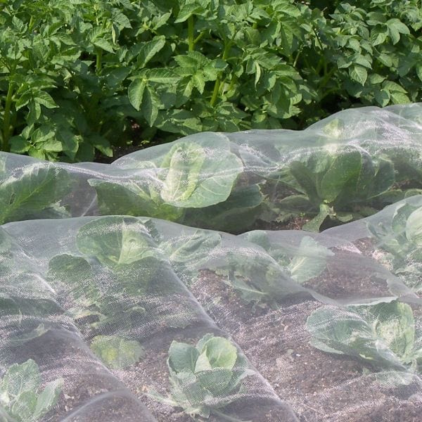 Veggiemesh Insect Plant Protection Netting