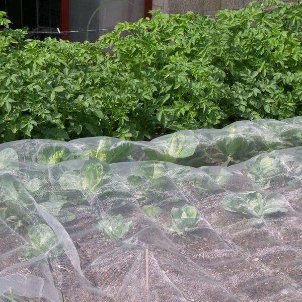 Veggiemesh Insect Plant Protection Netting