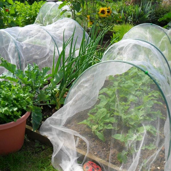 Veggiemesh Insect Plant Protection Netting