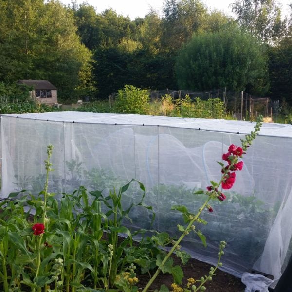 Veggiemesh Insect Plant Protection Netting