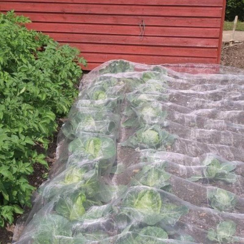 Veggiemesh Insect Plant Protection Netting