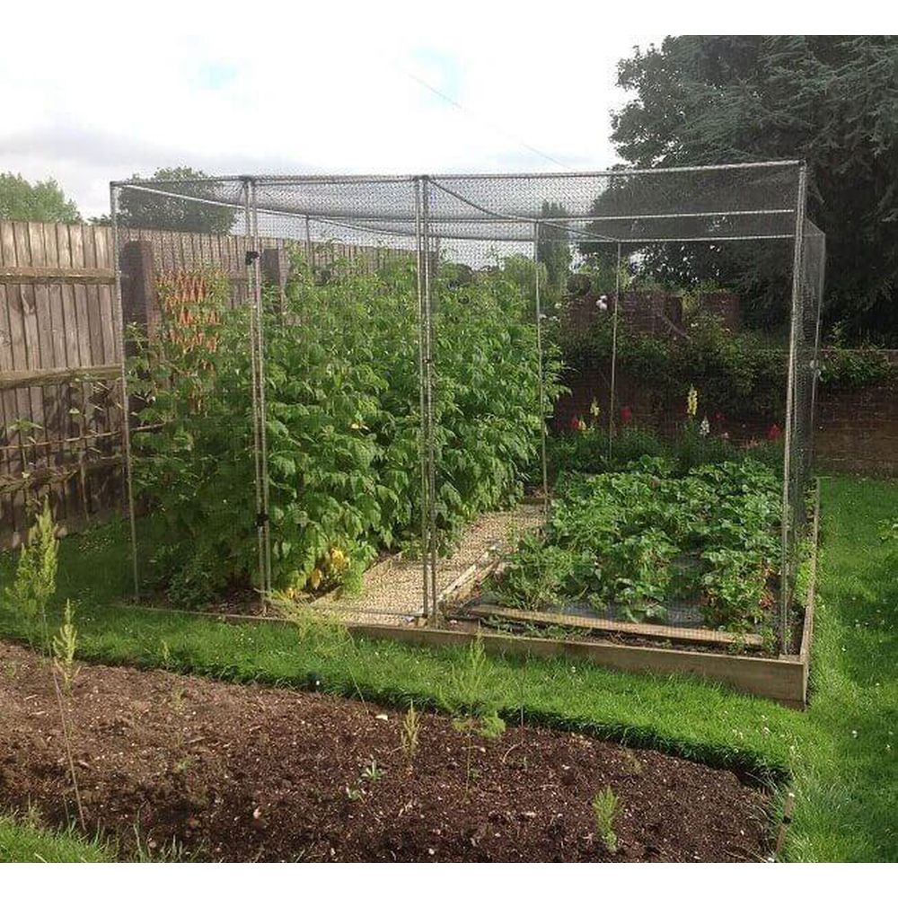 Vegetable garden with raised beds and netting in a backyard setting.