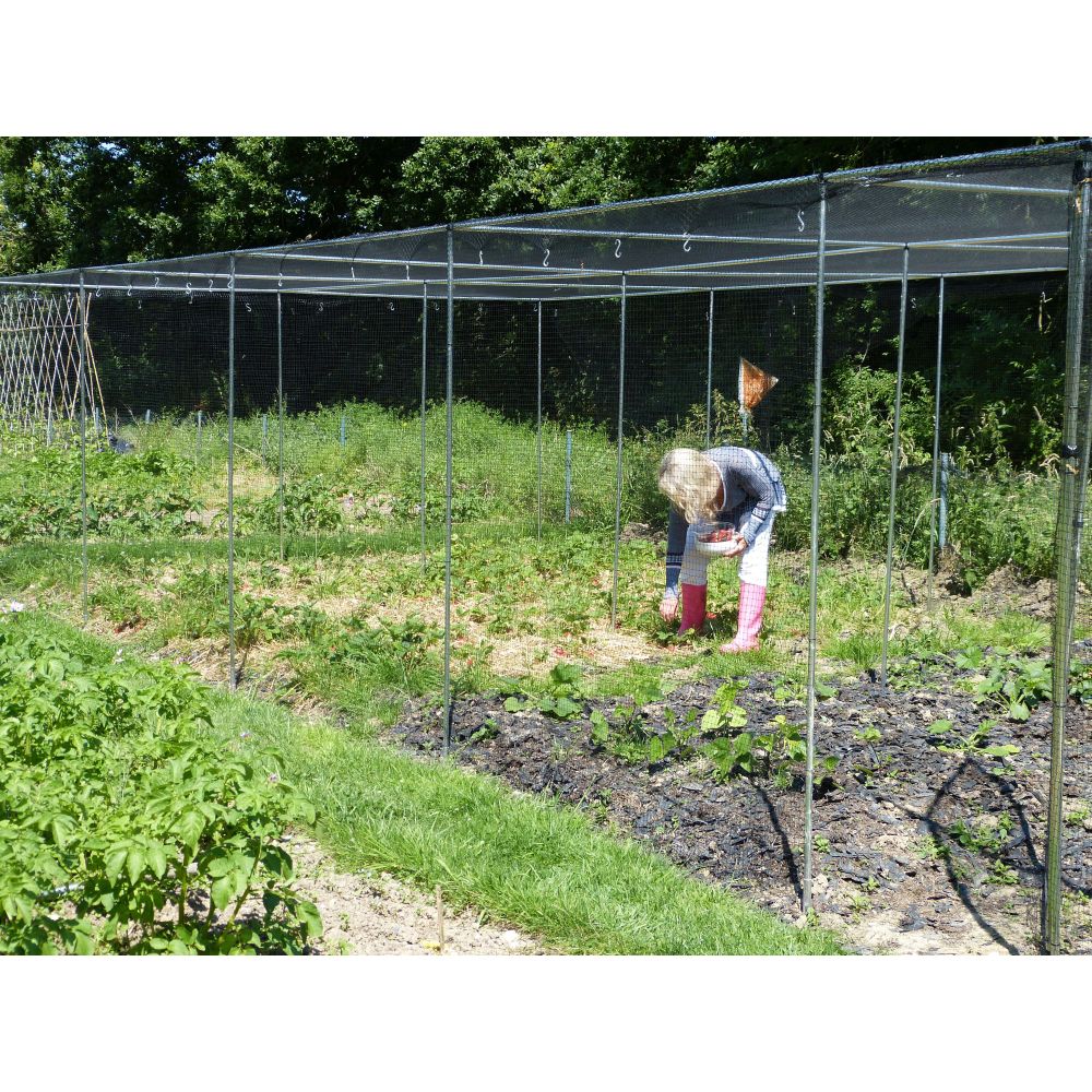 Person tending to plants in a garden with a metal fence and trees in the background