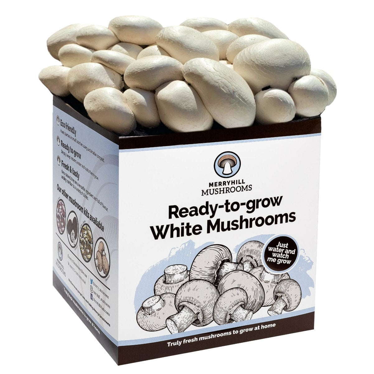 White Mushrooms Home Grow Kit