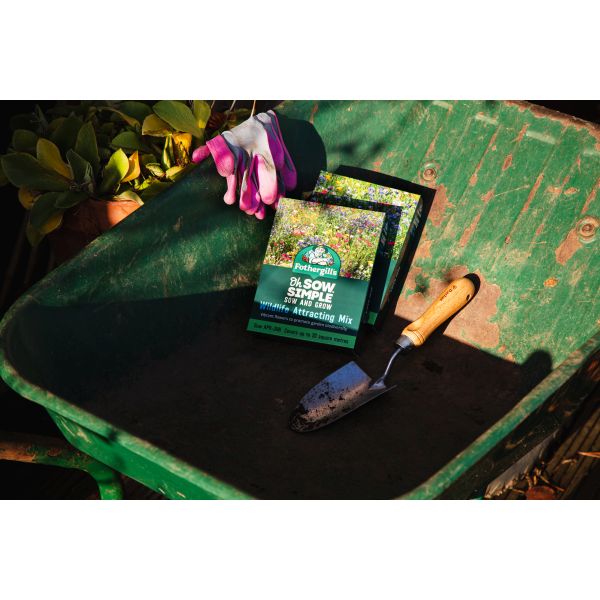 Wildlife Attracting Flower Seed Mix