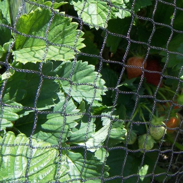 Bird Plant Protection Netting