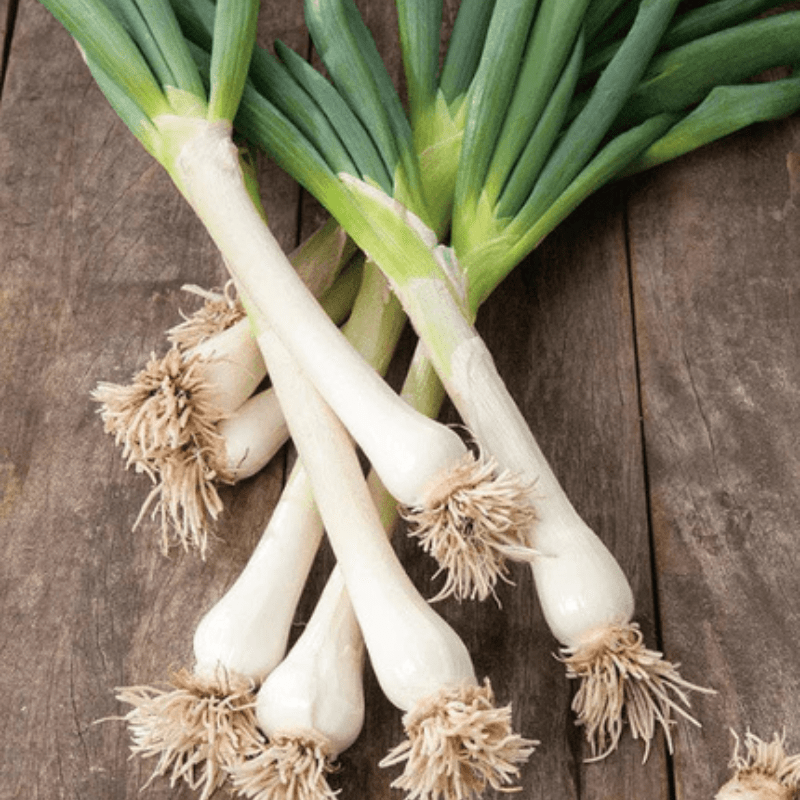 spring onions