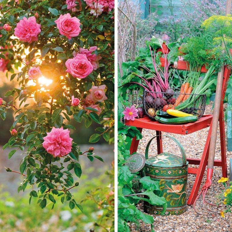 BBC Gardeners' World Greeting Cards