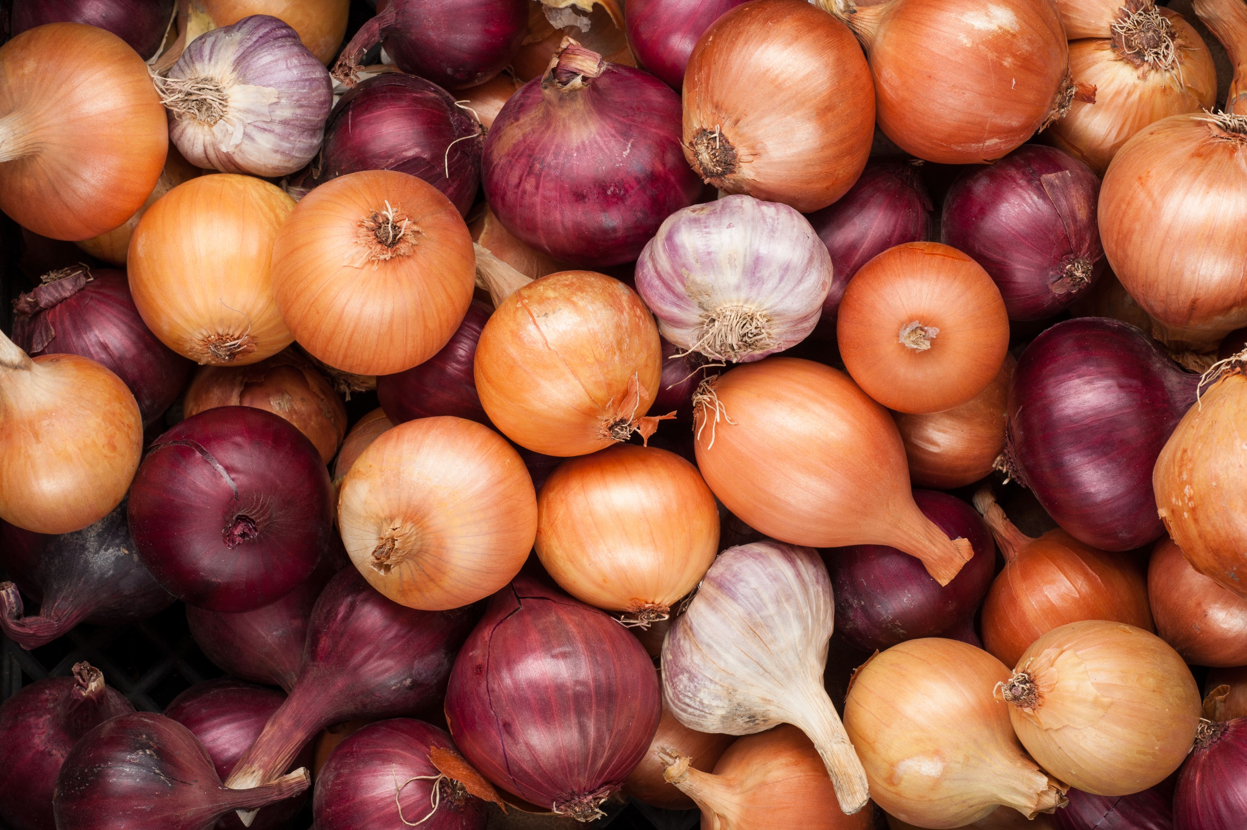 How to Plant Onion & Shallot Sets