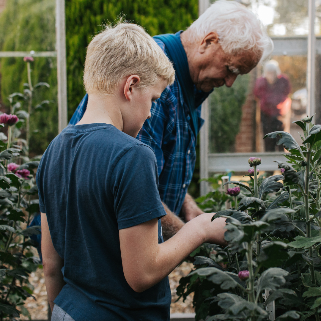 Easy Plants for Kids to Grow