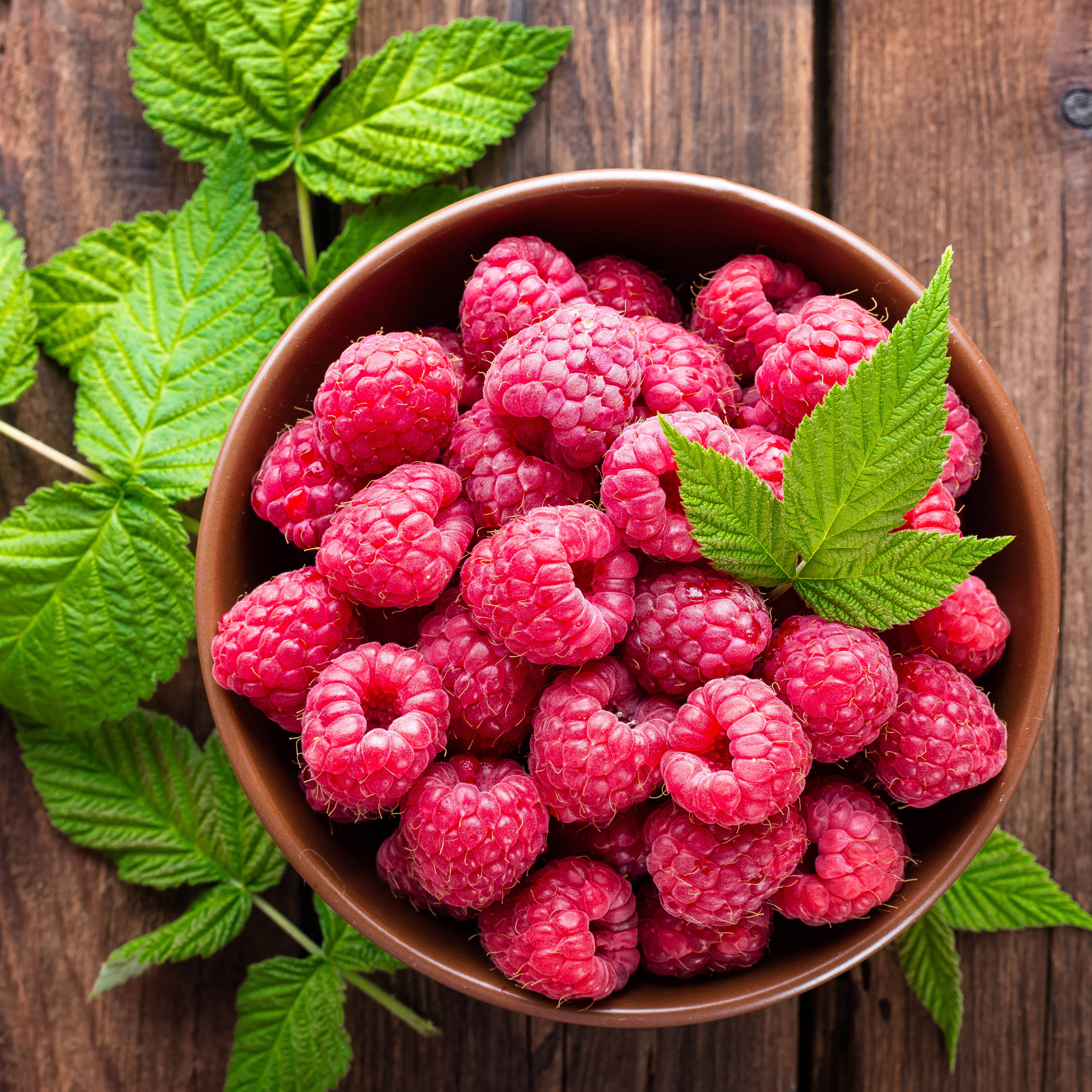 How To Grow and Look After Raspberries