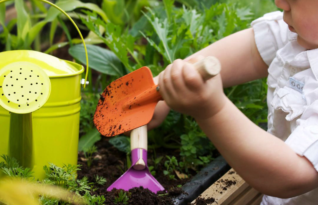 Top 5 reasons to get kids into gardening
