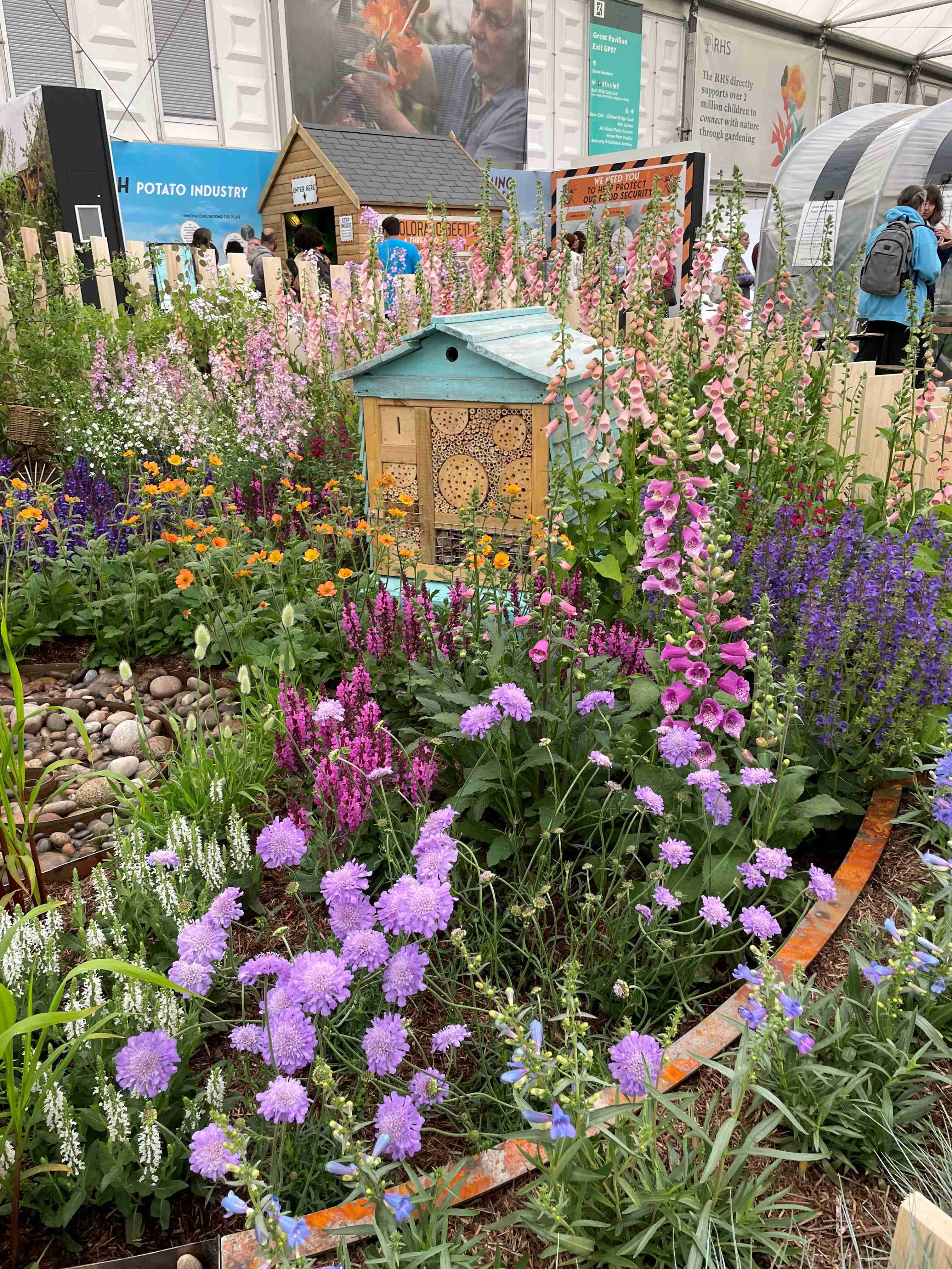 Chelsea 2025 Highlights