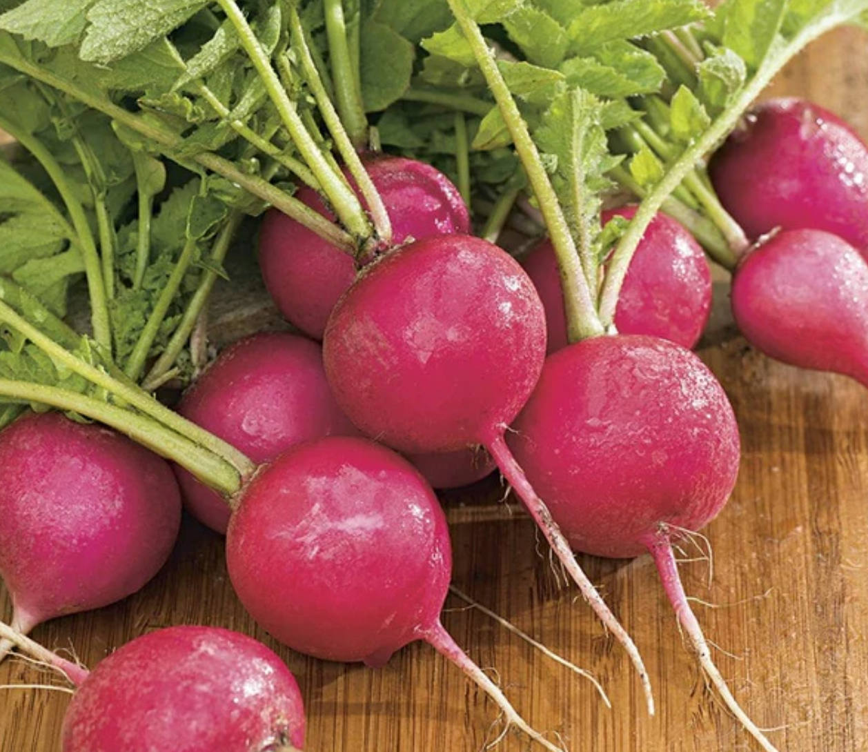 How to Grow Radishes