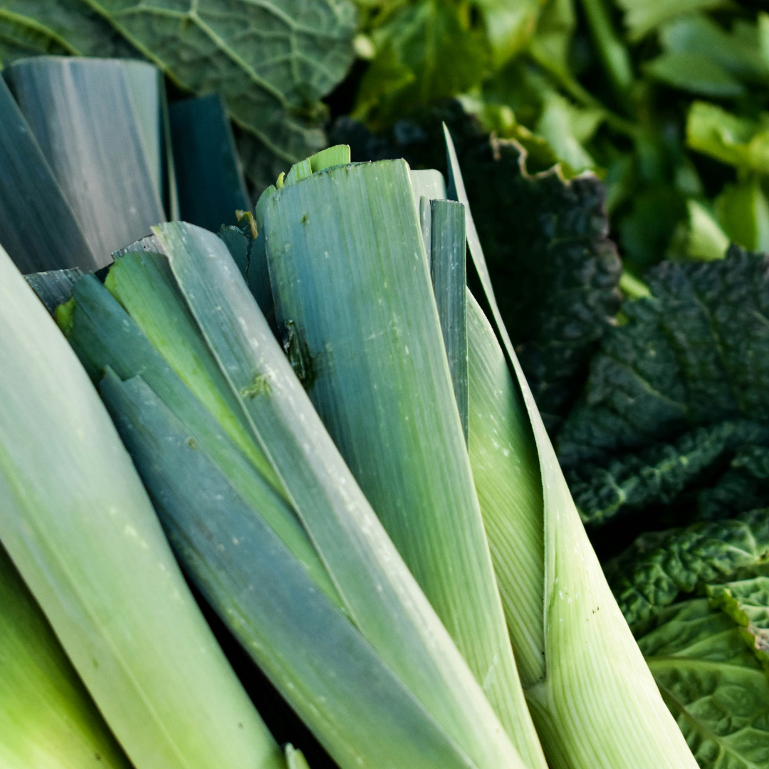 How to Grow Leeks