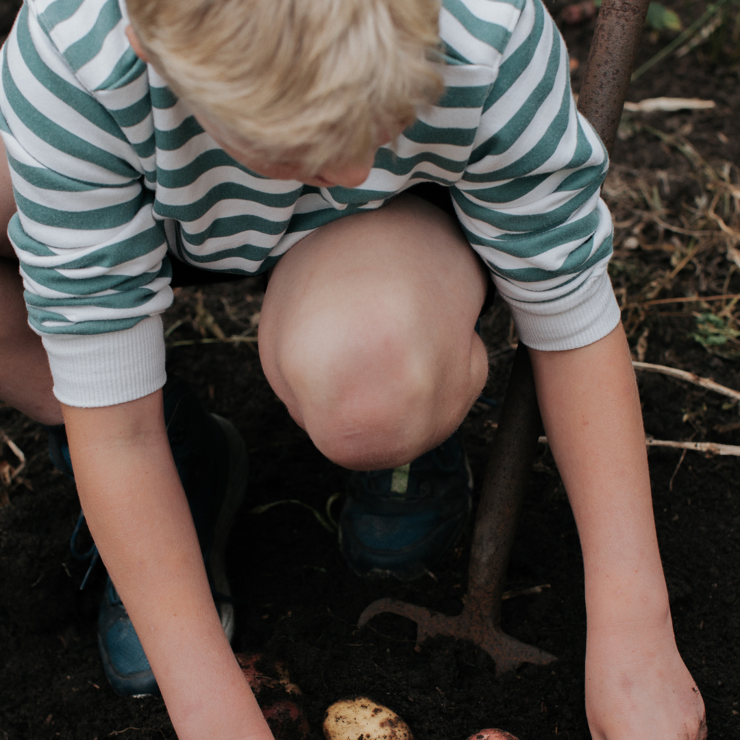 Top 5 reasons to get kids into gardening