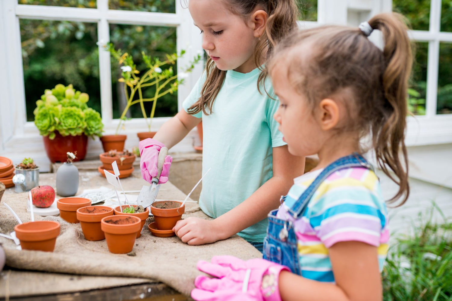 How To Plant A School Garden
