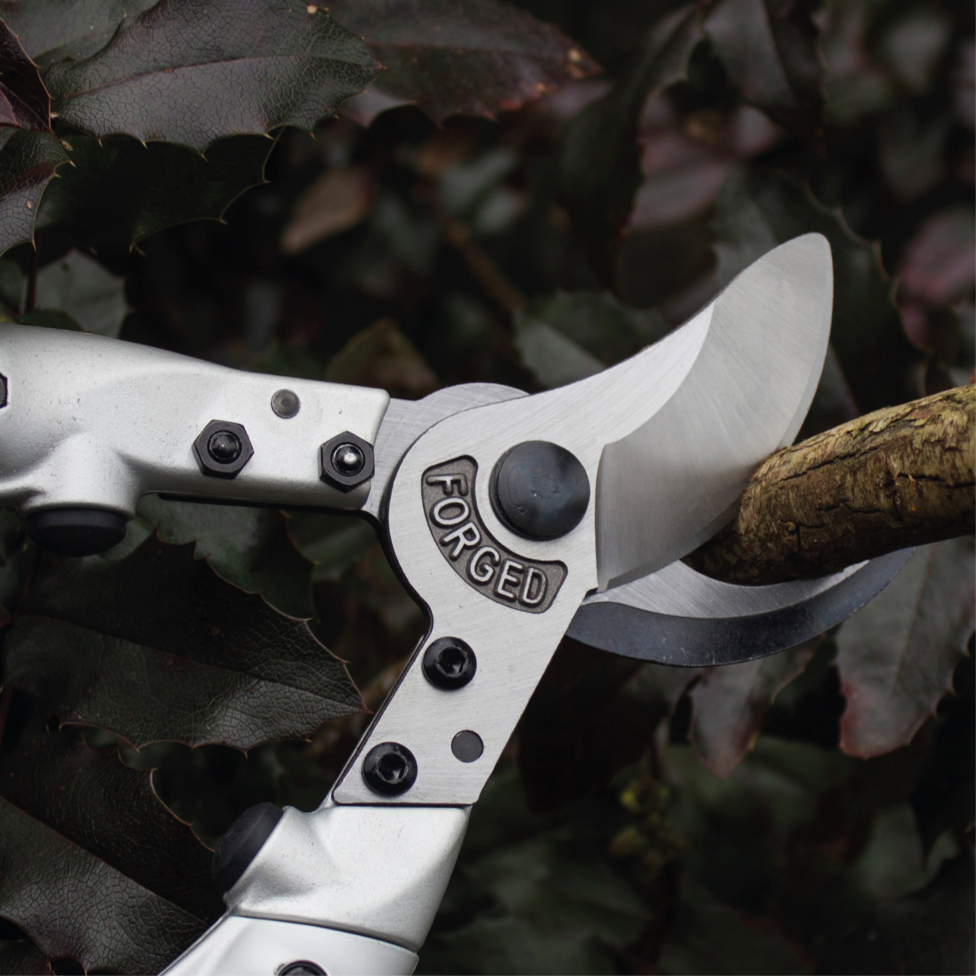 Loppers Buy Loppers Mr Fothergill's