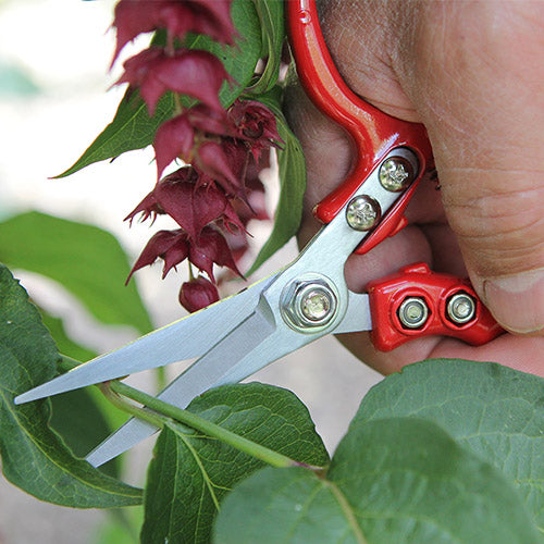 Snip Scissors | Buy Snip Scissors | Mr Fothergill's