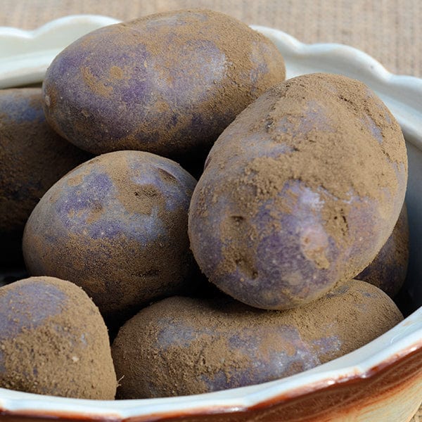 First Early Seed Potatoes
