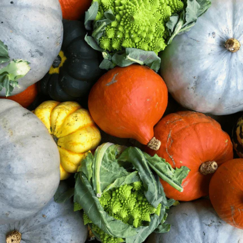 Vegetables to Plant in Autumn