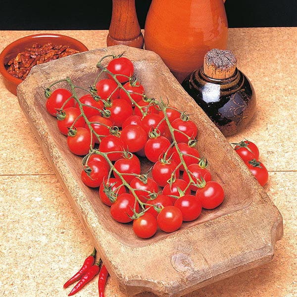 Tomato (Cherry) Chelsea Mini F1 Seeds