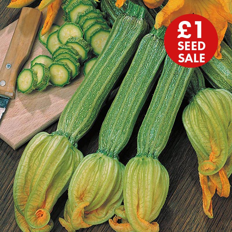 Courgette Romanesco Seeds