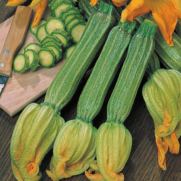 Courgette Romanesco Seeds