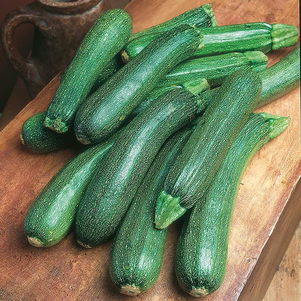 Courgette Patriot F1 Seeds