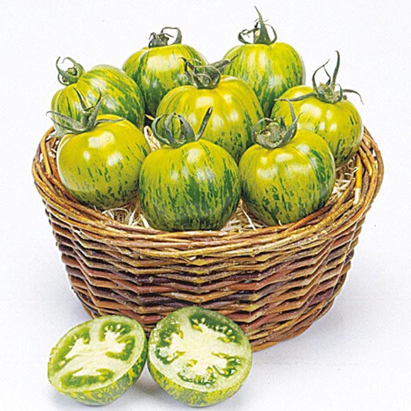 Tomato (Standard) Green Zebra Seeds