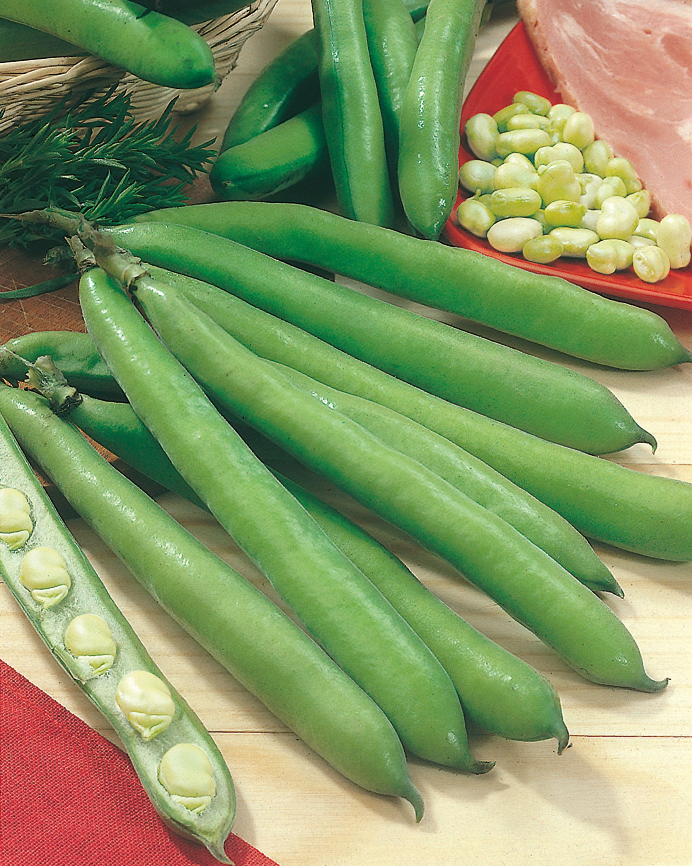 Broad Bean Aguadulce Seeds