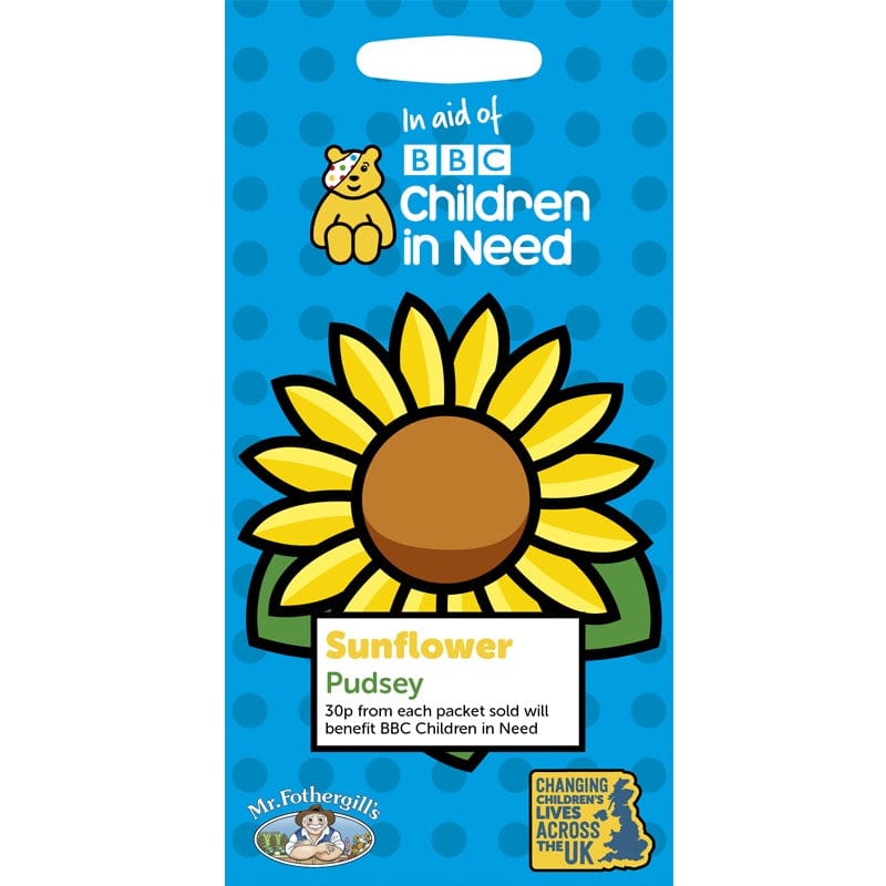 Children in Need Sunflower Pudsey