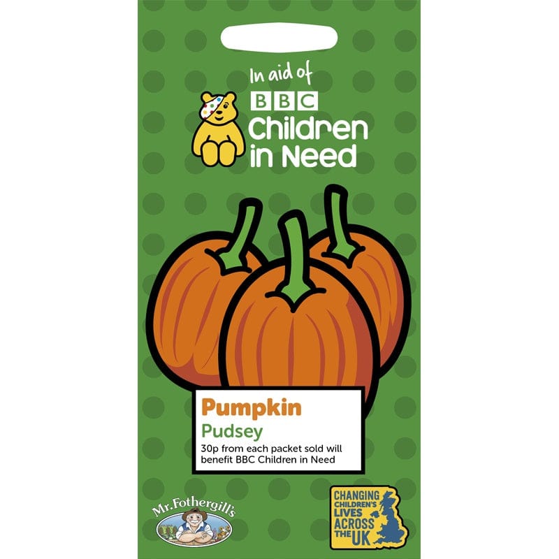 Children in Need Pumpkin Pudsey Seeds