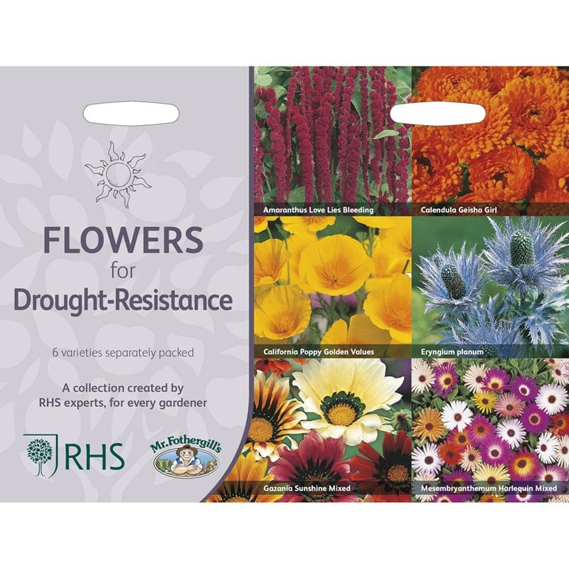 RHS Drought Resistant Flowers Seed Collection