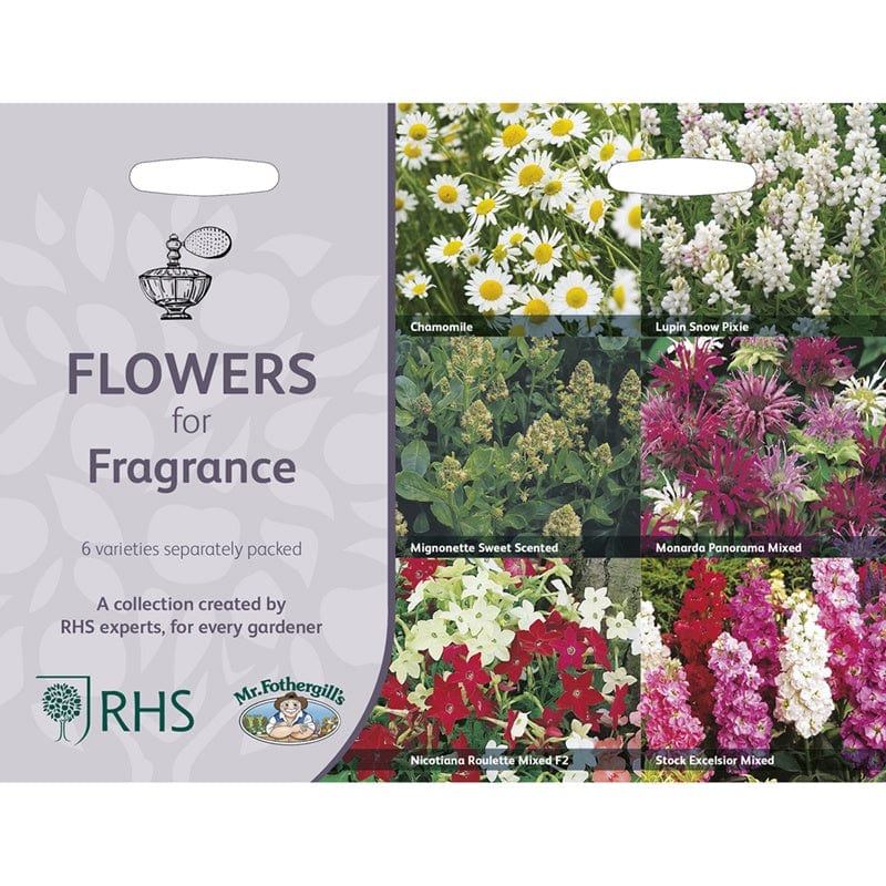 RHS Flowers for Fragrance Seed Collection