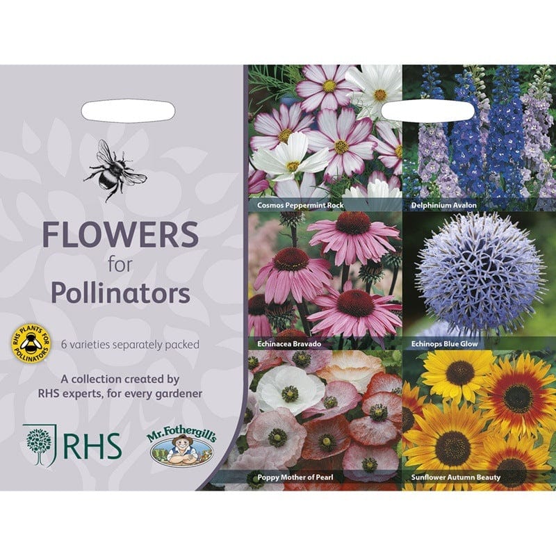 RHS Flowers for Pollinators Collection