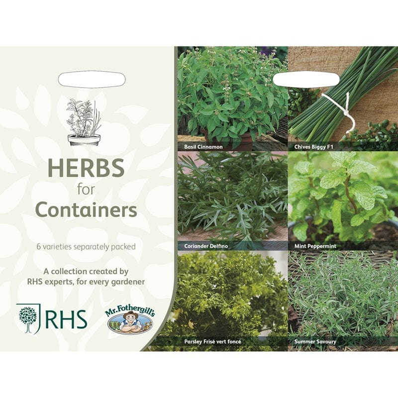 RHS Herbs for Containers Collection